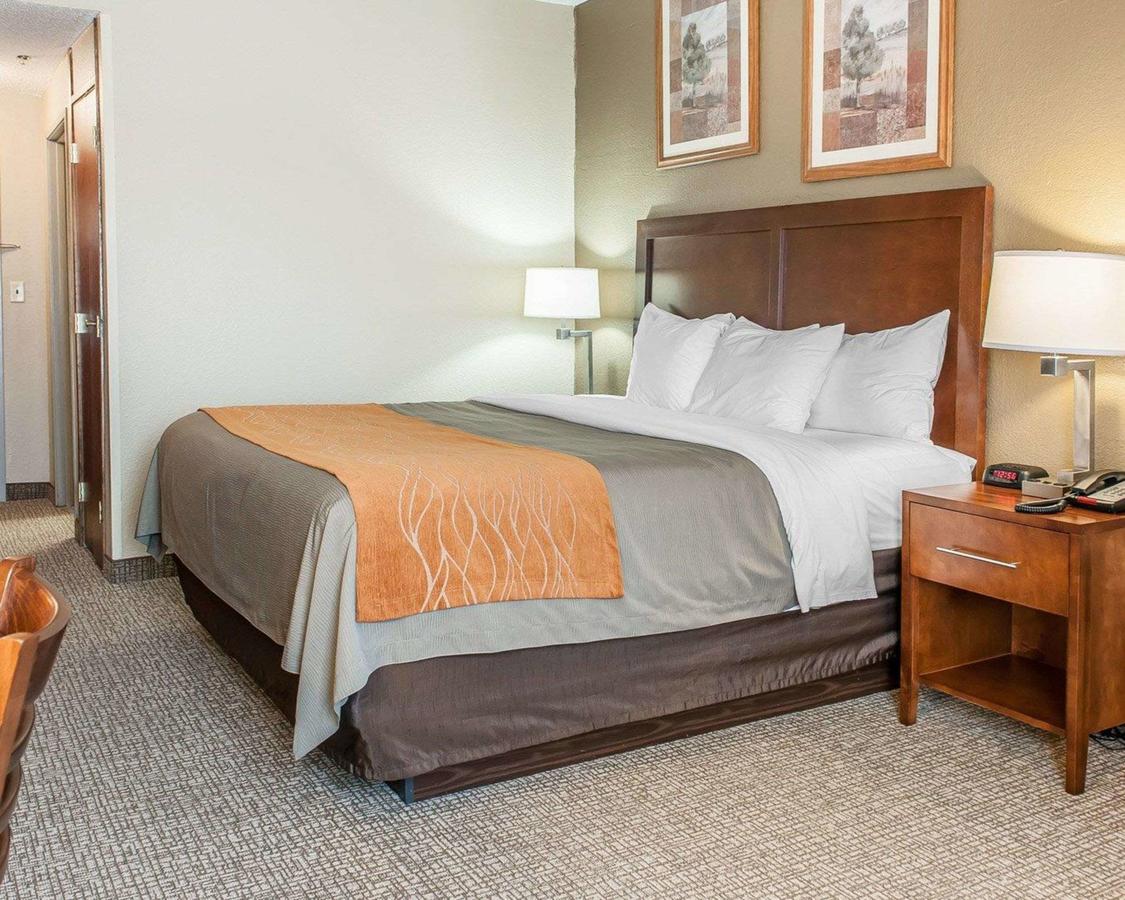 Comfort Inn Madison - thumb 27