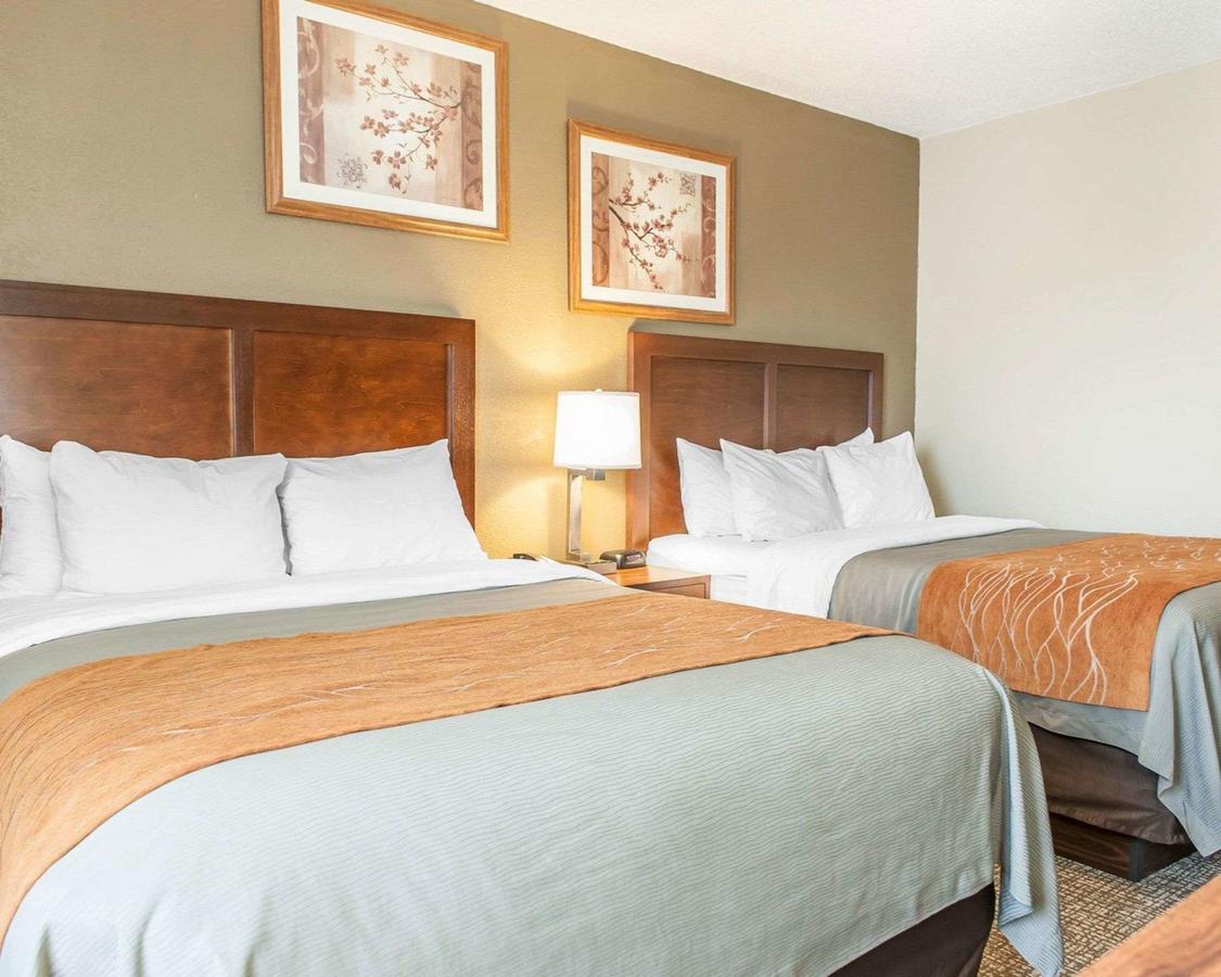 Comfort Inn Madison - thumb 35