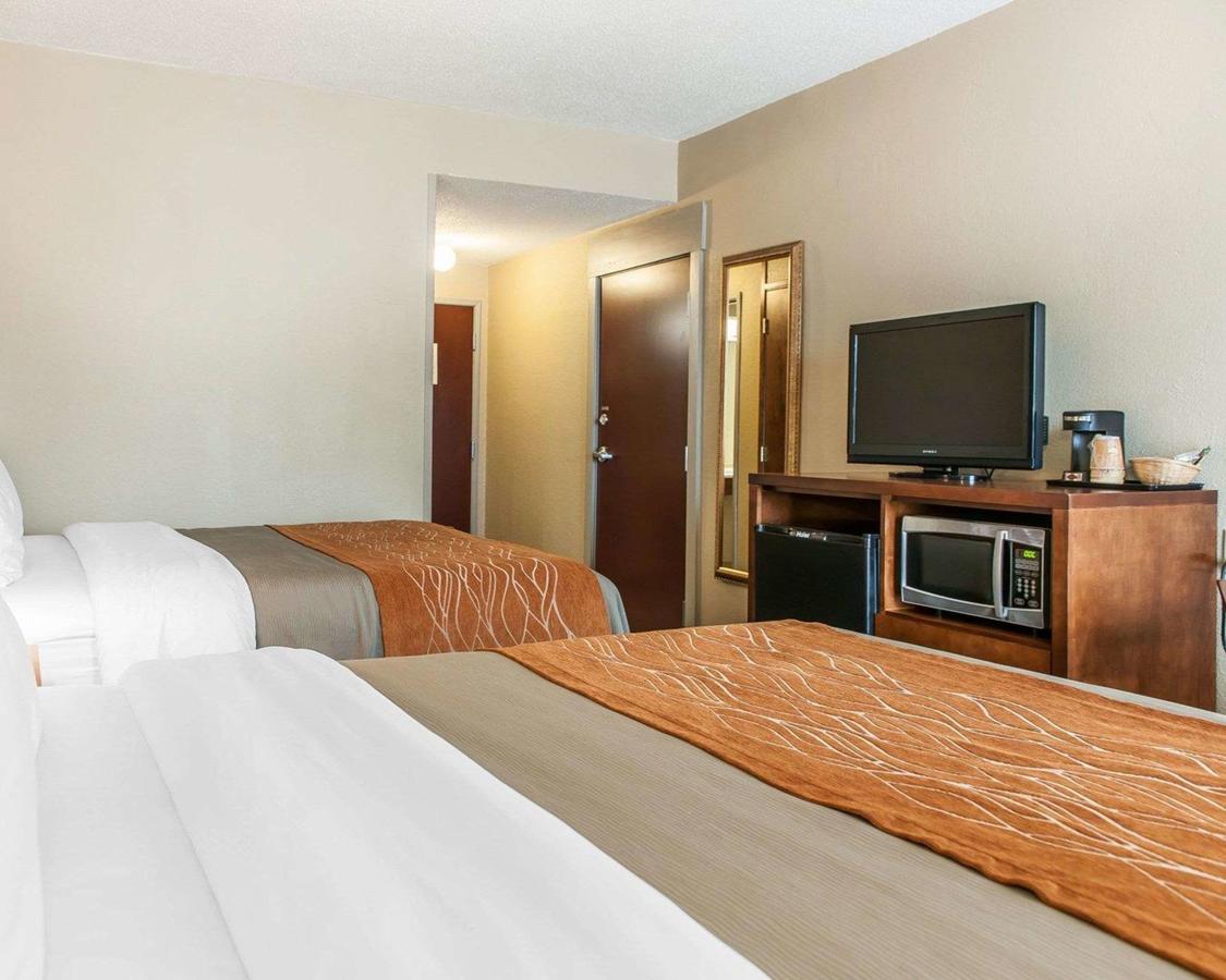 Comfort Inn Madison - thumb 10