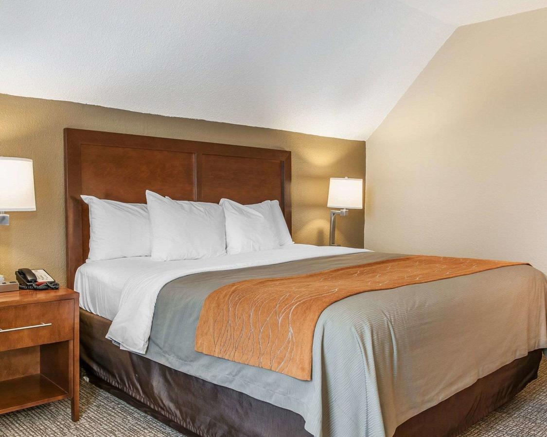Comfort Inn Madison - thumb 31
