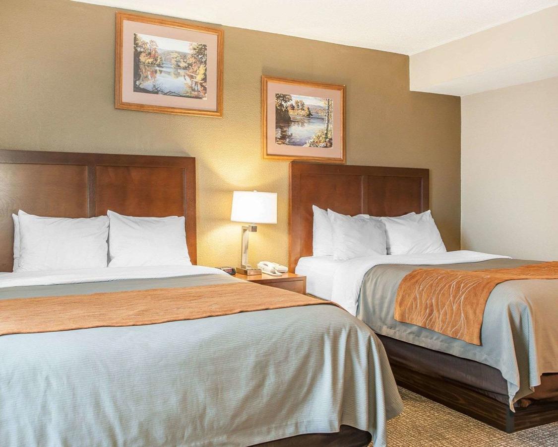 Comfort Inn Madison - thumb 22