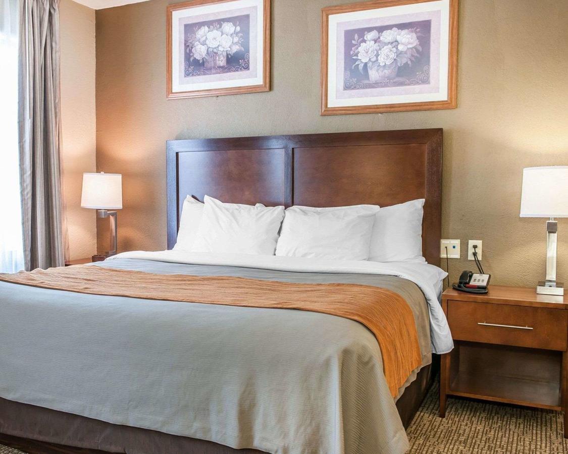 Comfort Inn Madison - thumb 36