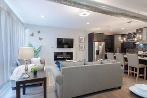TWO Beautiful Homes Indy's Finest Sleeps 34!