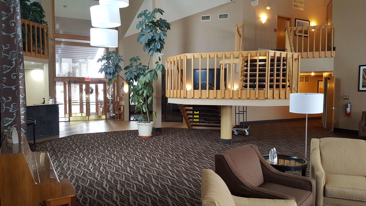 Best Western Indian Oak - thumb 8