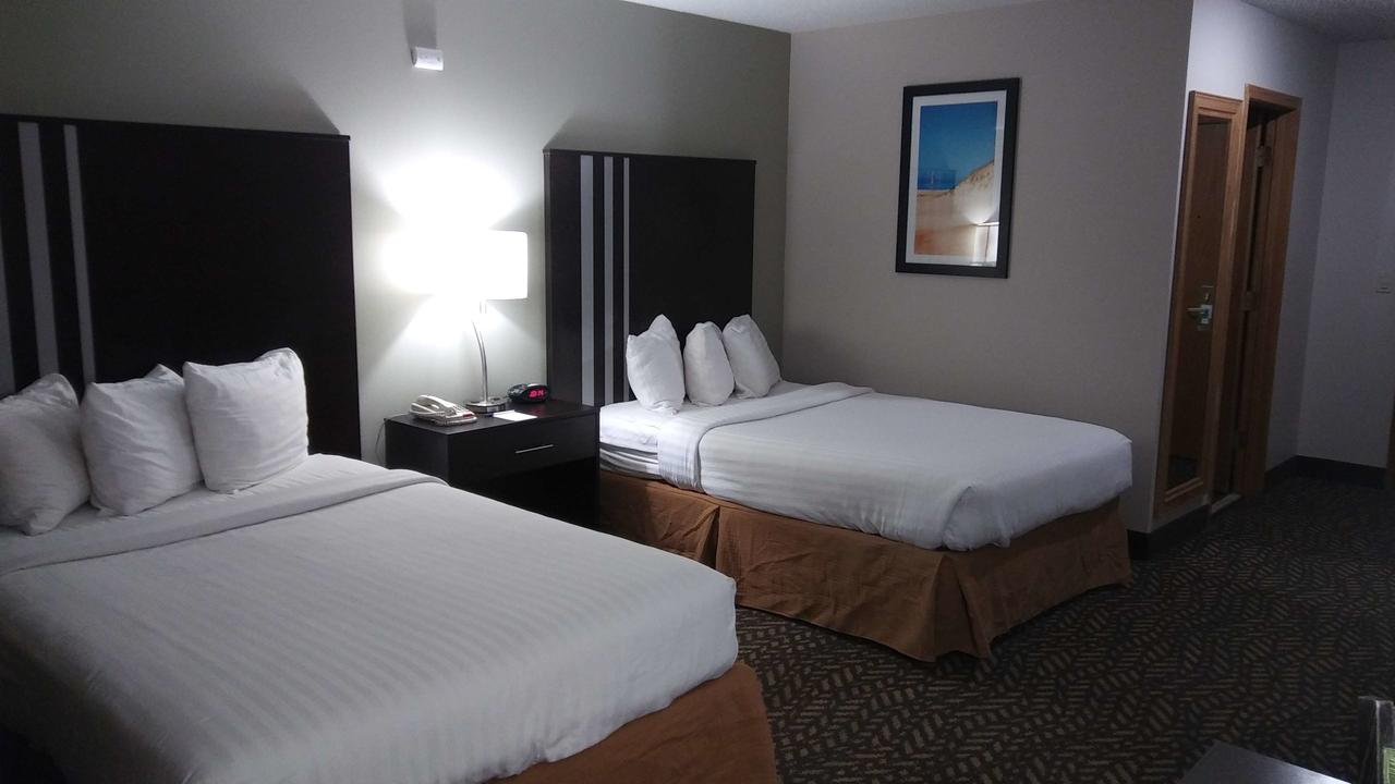 Best Western Indian Oak - thumb 3