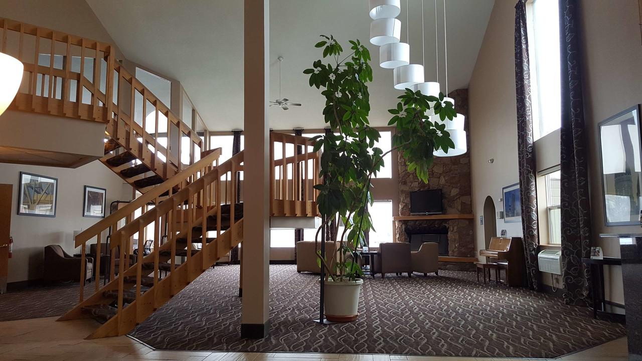 Best Western Indian Oak - thumb 9