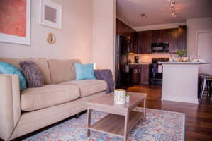 CHARMING 1BR APT IN ARTS & MUSIC DISTRICT
