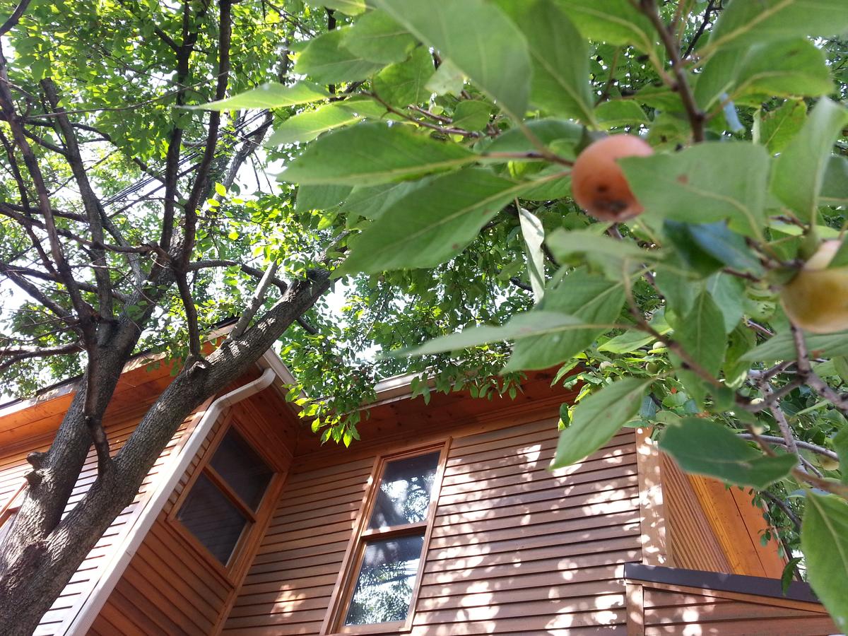 Persimmon Inn - thumb 7