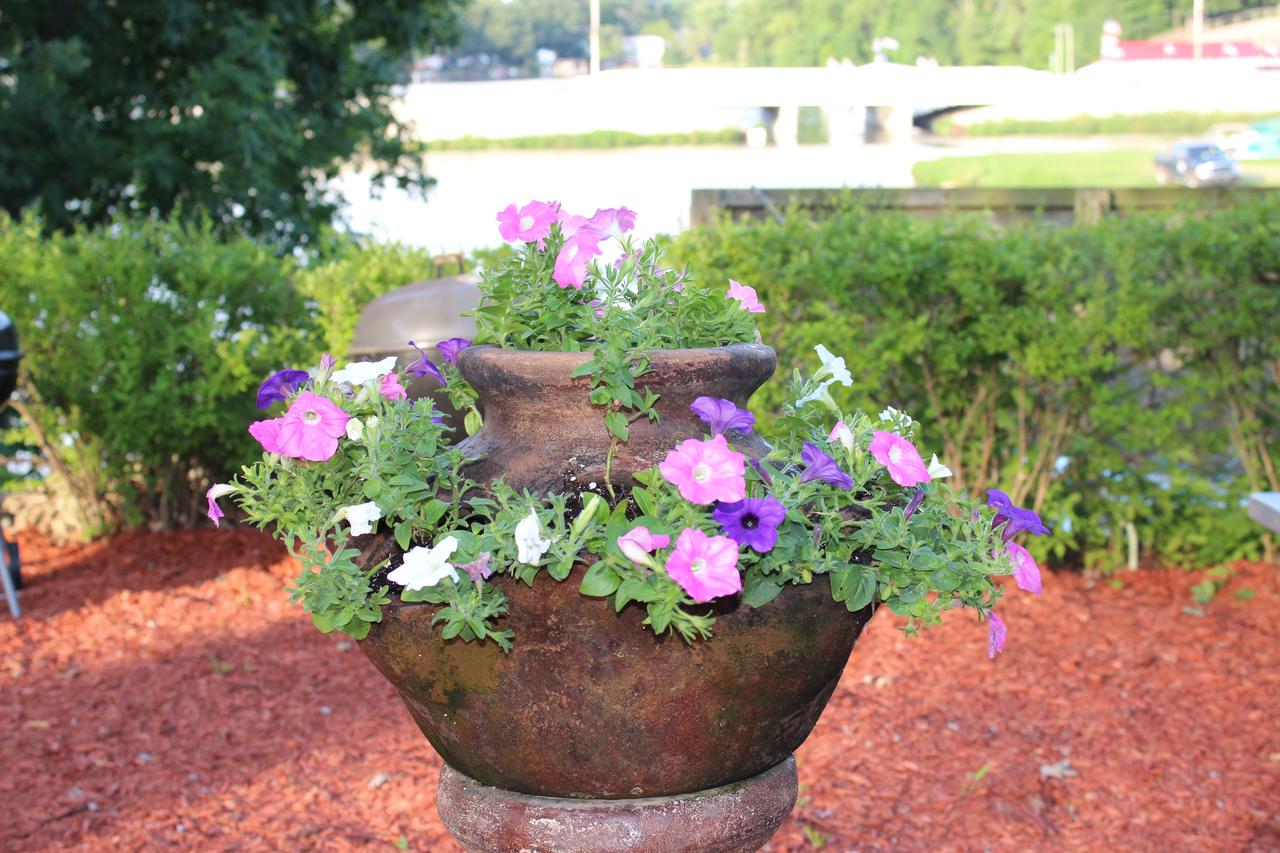 Pirate's Cove Resort - thumb 35