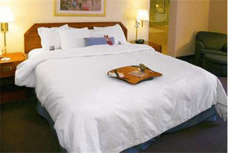 Hampton Inn Princeton - thumb 5