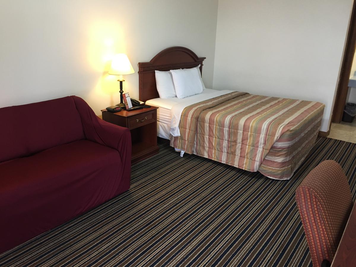Huggy Bear Motel - Warren - thumb 8
