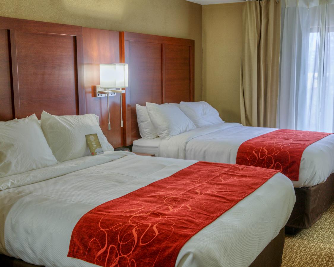 Comfort Suites Plymouth - thumb 17