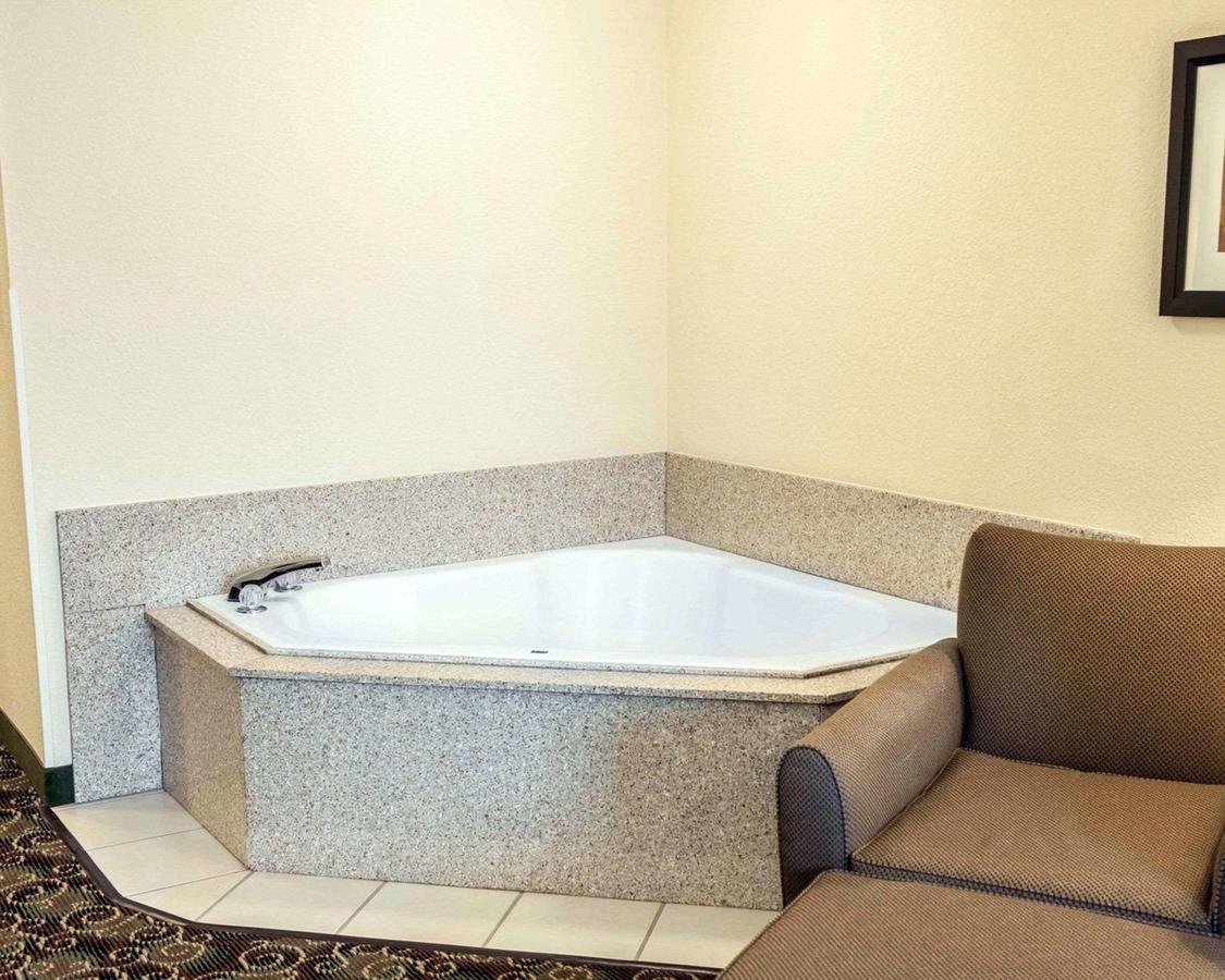 Comfort Suites West Indianapolis - Brownsburg - thumb 19