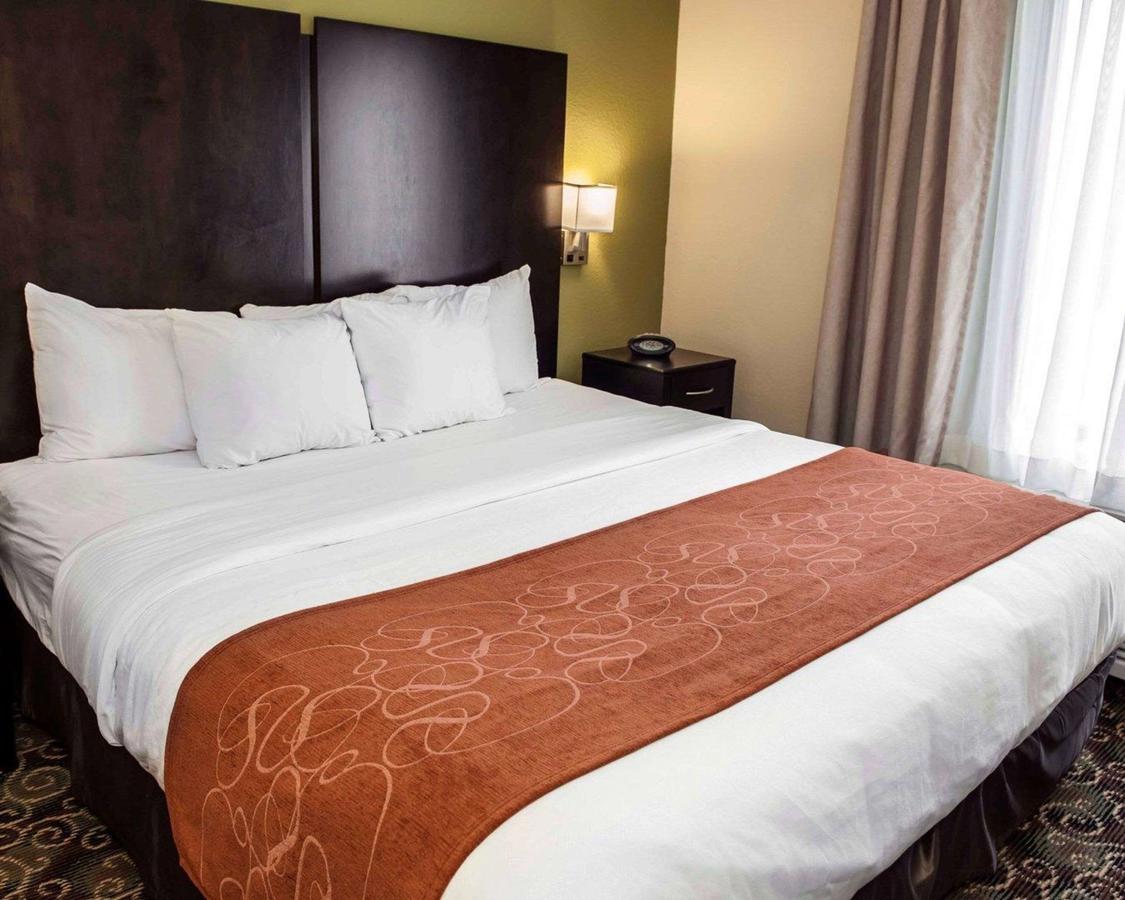 Comfort Suites West Indianapolis - Brownsburg - thumb 9