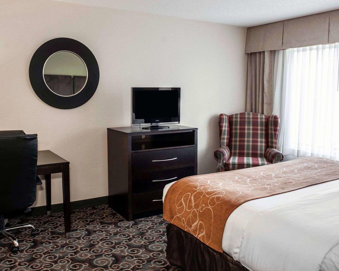 Comfort Suites West Indianapolis - Brownsburg - thumb 10