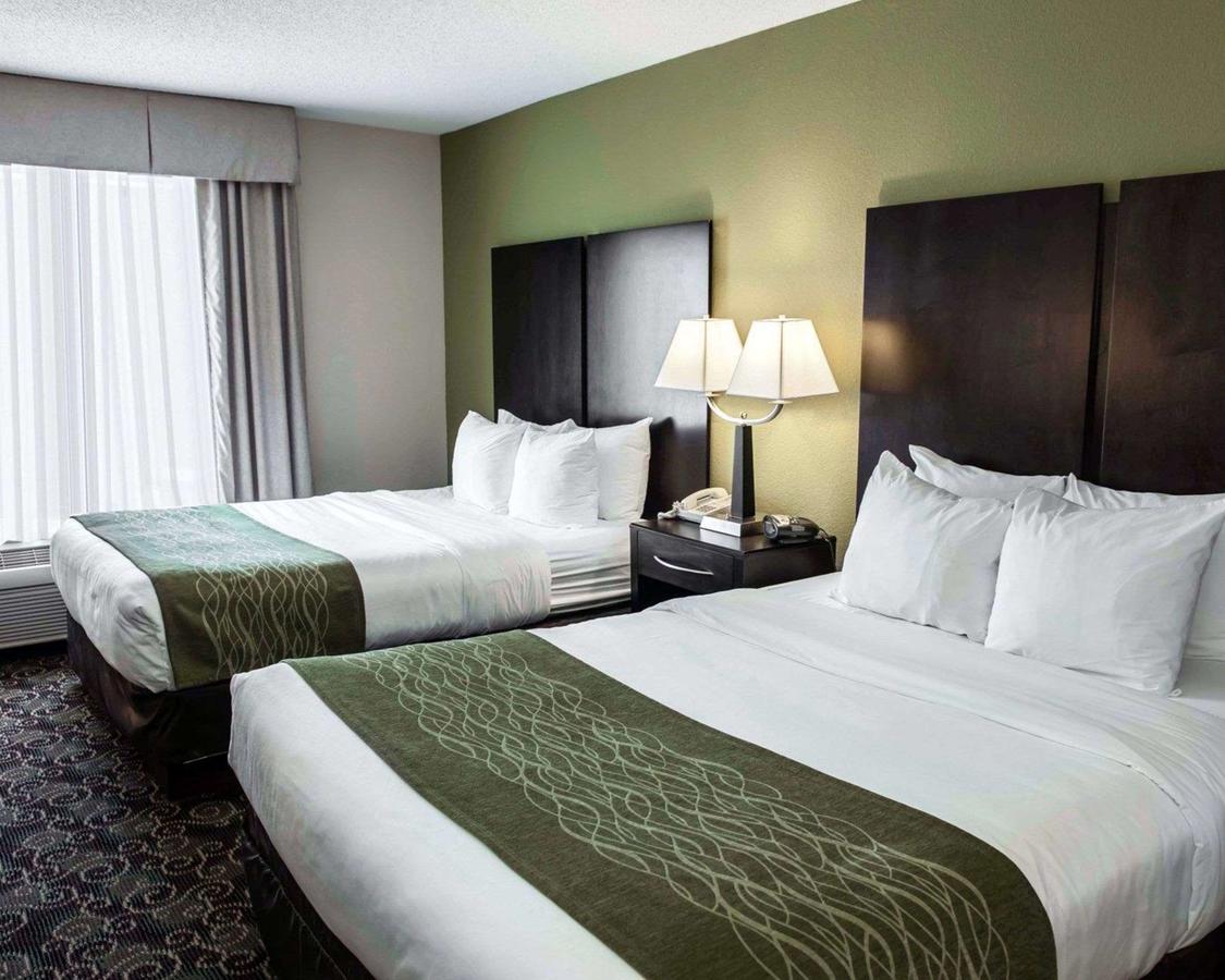 Comfort Suites West Indianapolis - Brownsburg - thumb 18