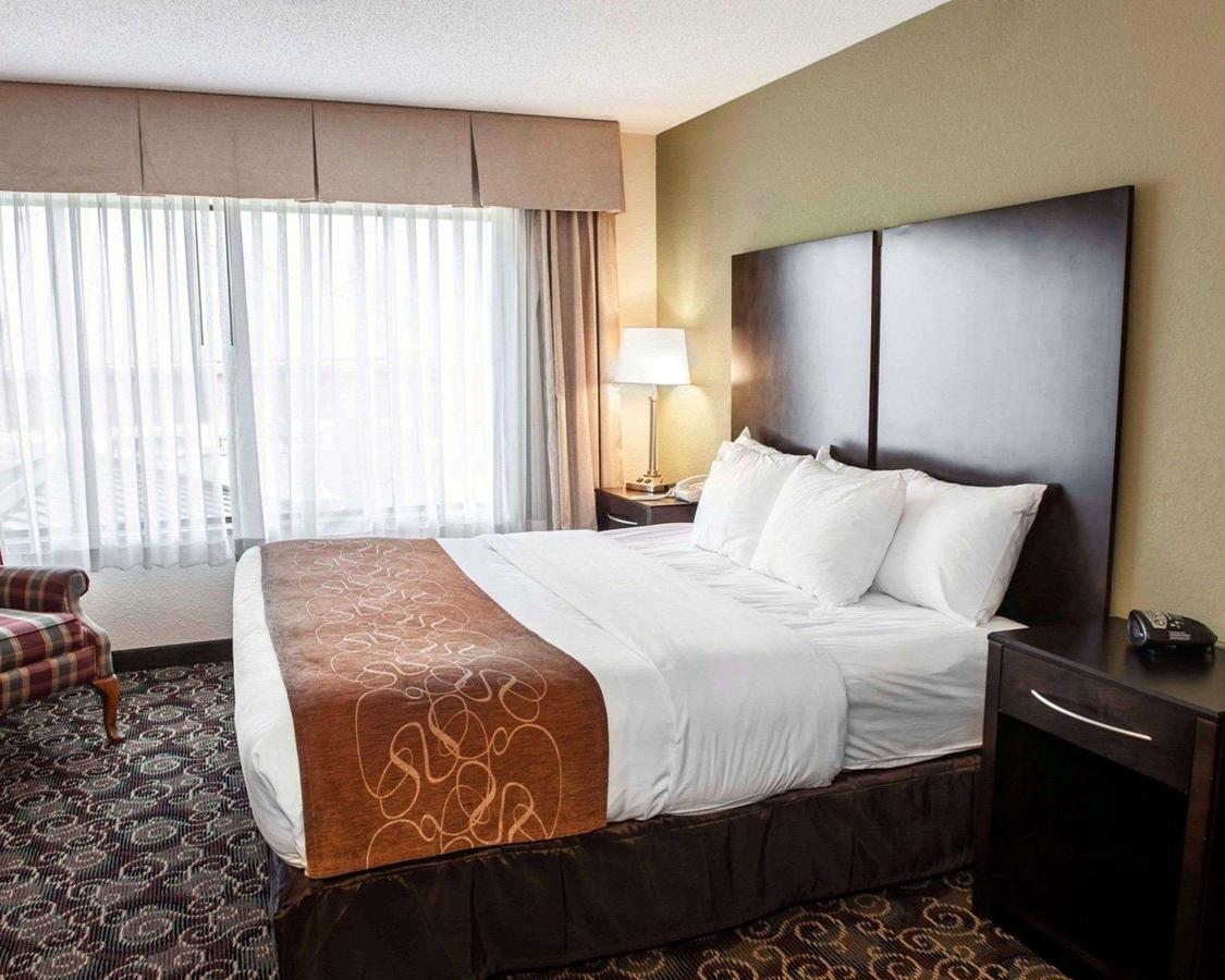 Comfort Suites West Indianapolis - Brownsburg - thumb 6