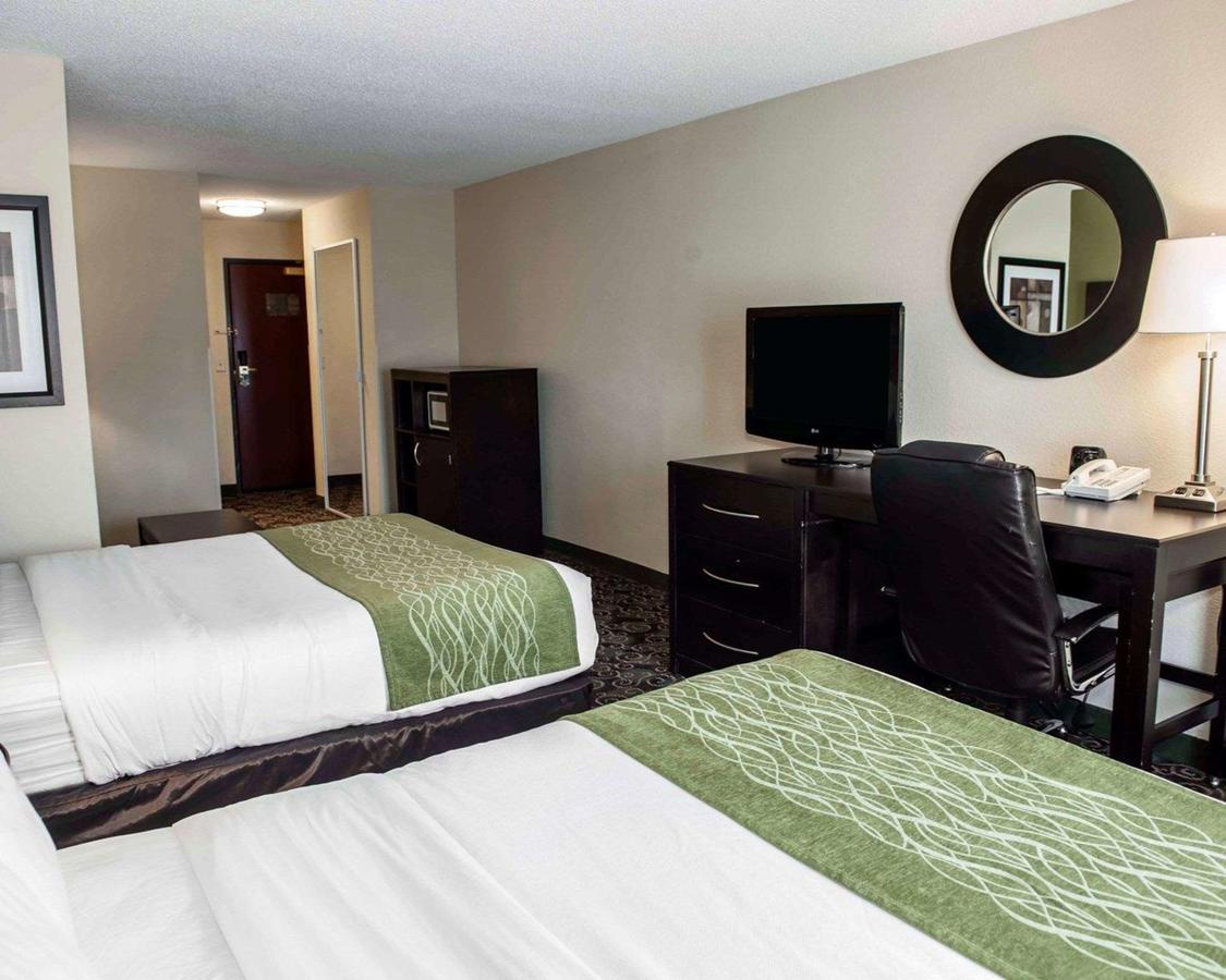 Comfort Suites West Indianapolis - Brownsburg - thumb 28