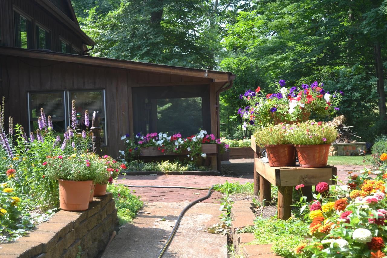 Private Apartment In Beautiful Natural Setting - thumb 0