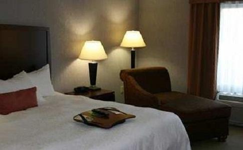 Hampton Inn And Suites Indianapolis/Brownsburg - thumb 3