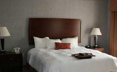 Hampton Inn And Suites Indianapolis/Brownsburg - thumb 4