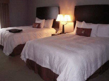 Hampton Inn And Suites Indianapolis/Brownsburg - thumb 1