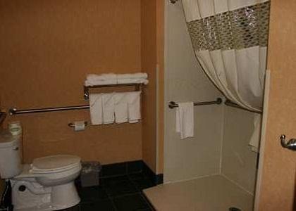 Hampton Inn And Suites Indianapolis/Brownsburg - thumb 8