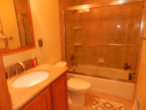 Beautiful 6 Bedroom Home Half A Mile From Campus