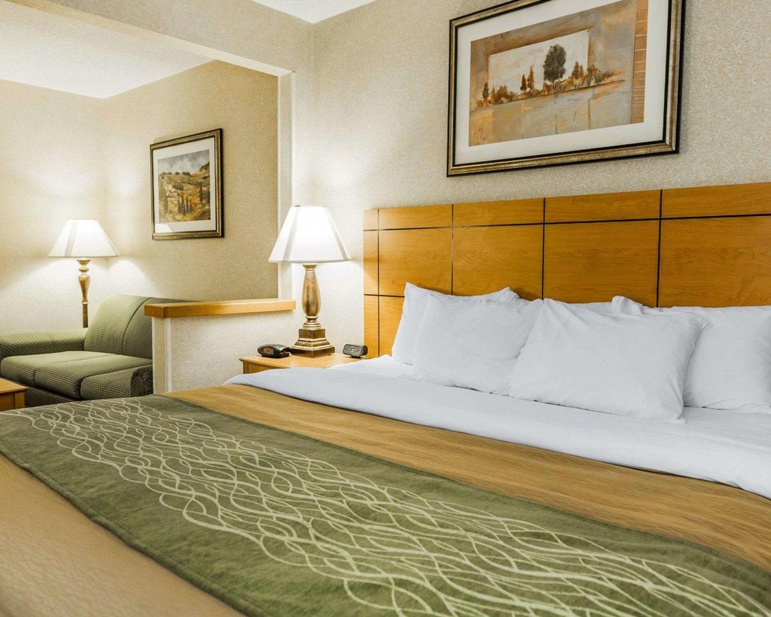 Comfort Inn Near Kokomo Speedway - thumb 3