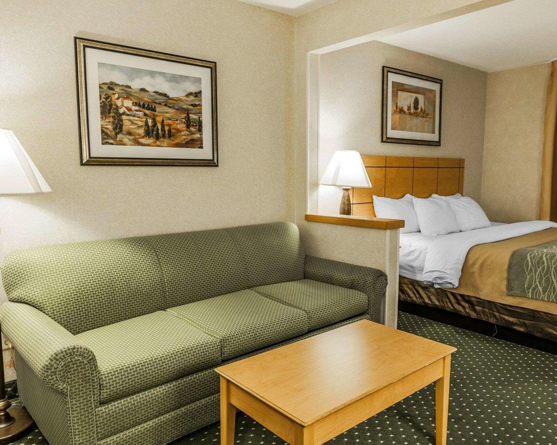 Comfort Inn Near Kokomo Speedway - thumb 25