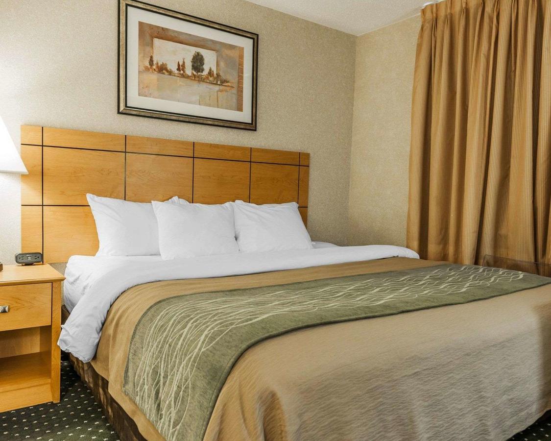 Comfort Inn Near Kokomo Speedway - thumb 13