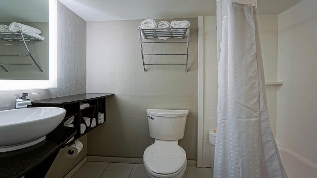 Holiday Inn At The Campus - thumb 16