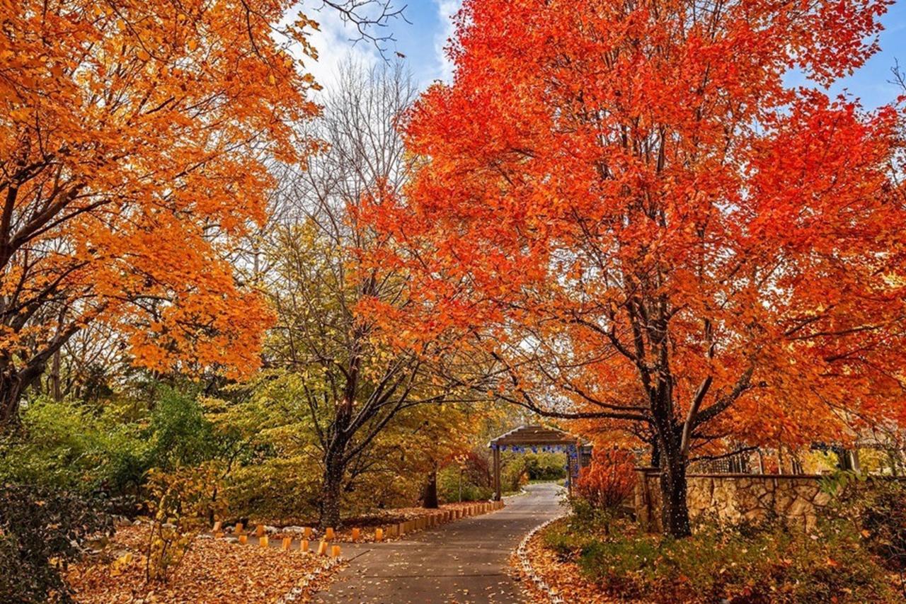 Candlewood Suites Wichita-Northeast - thumb 22