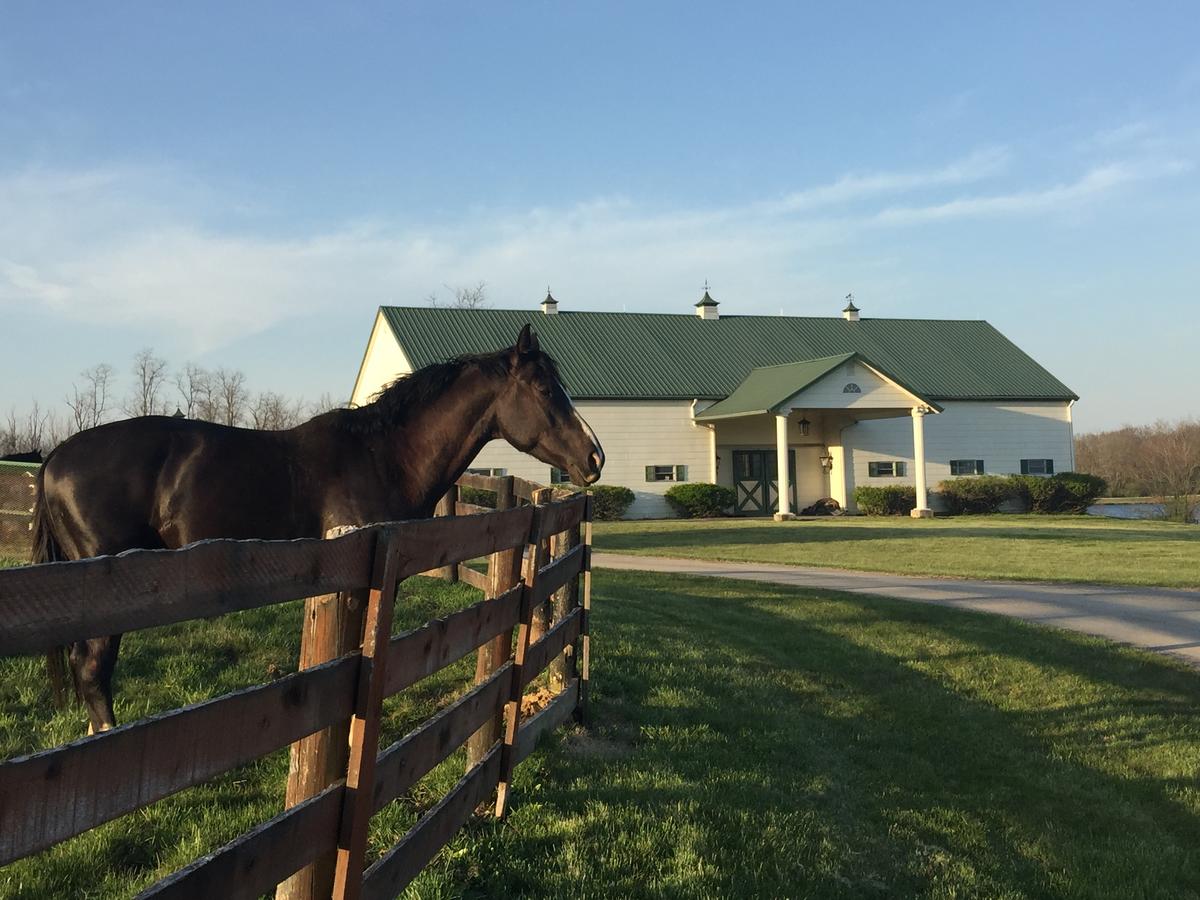 The B & B At Queenslake - thumb 7