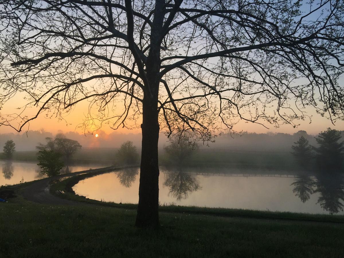 The B & B At Queenslake - thumb 17