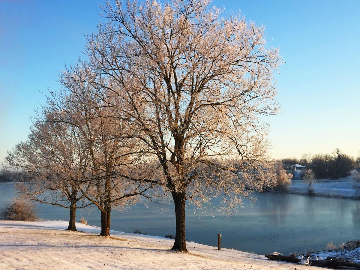 The B & B At Queenslake - thumb 23