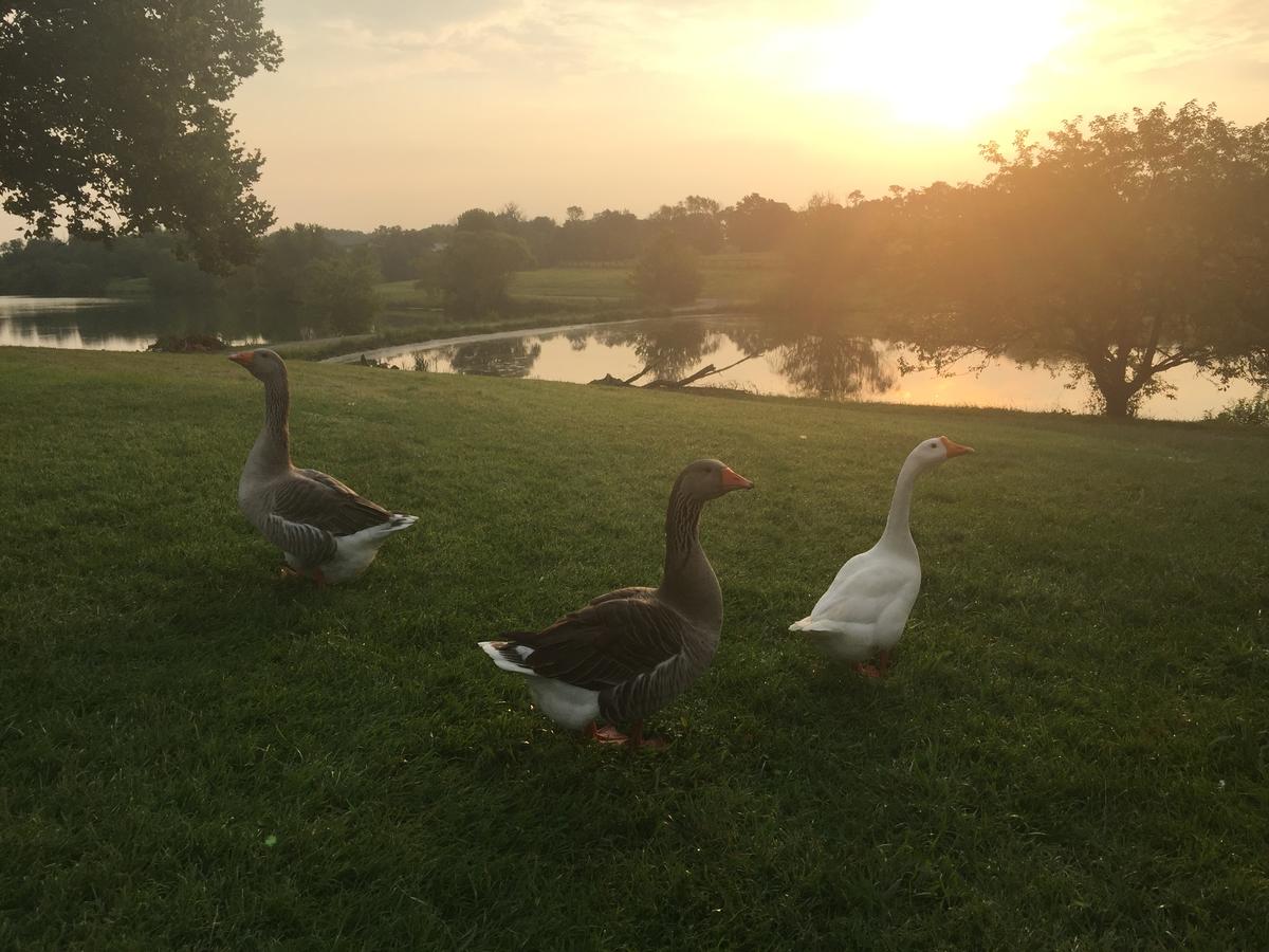 The B & B At Queenslake - thumb 5