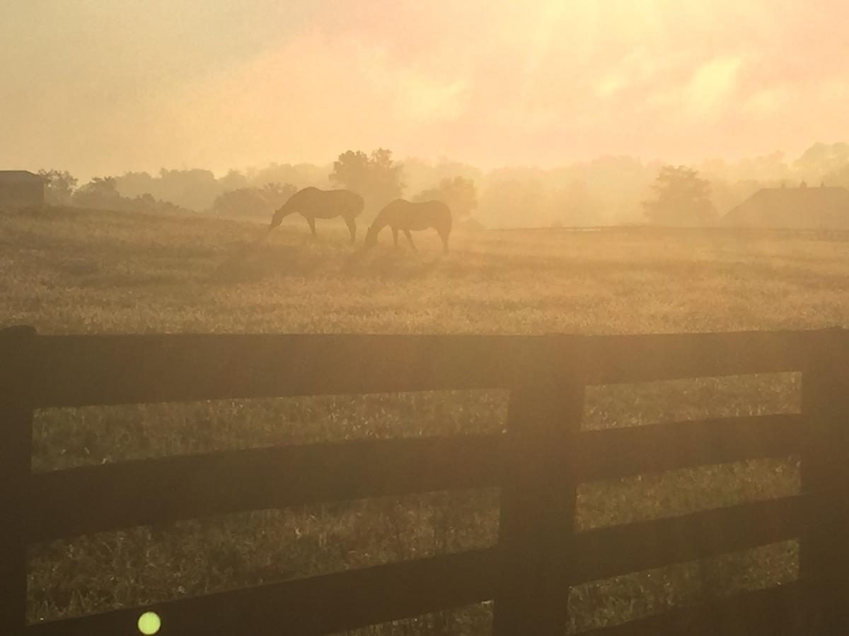 The B & B At Queenslake - thumb 2