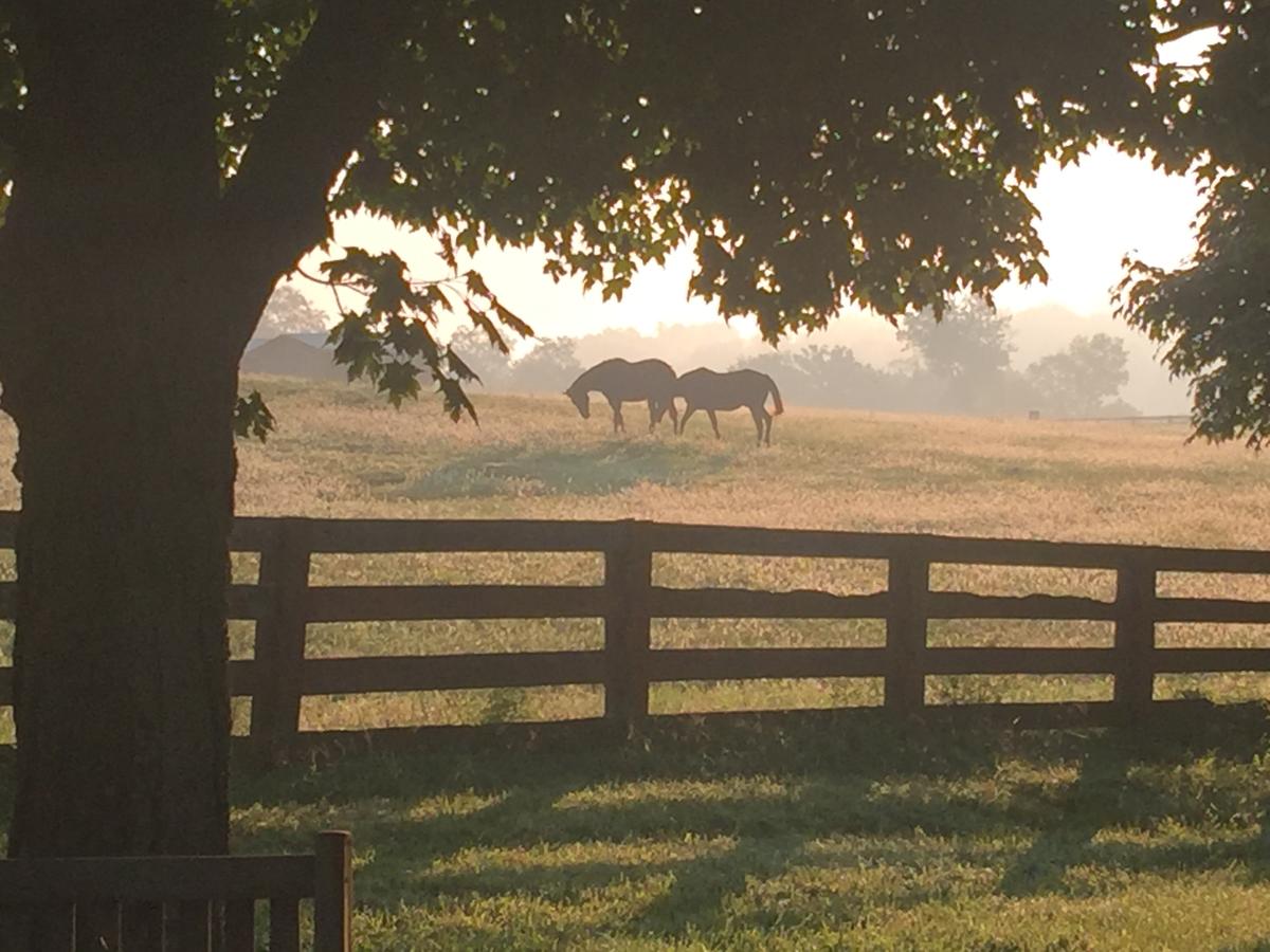 The B & B At Queenslake - thumb 1
