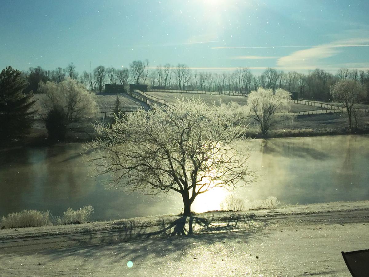 The B & B At Queenslake - thumb 16