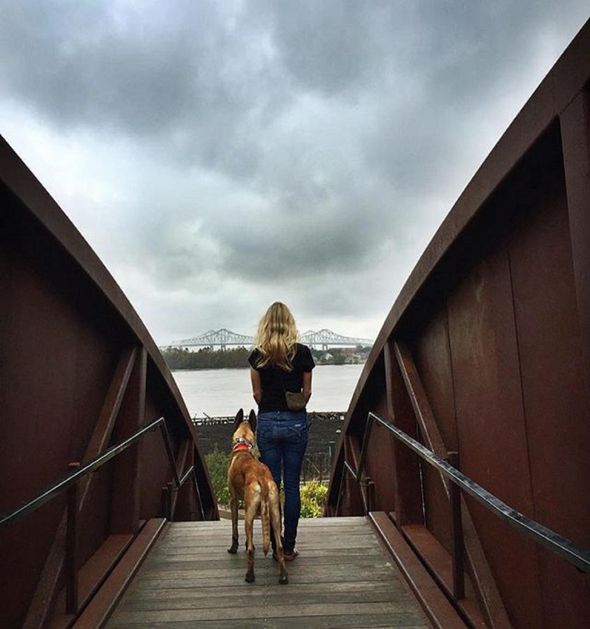 Laid Back Charm In The Bywater - thumb 20