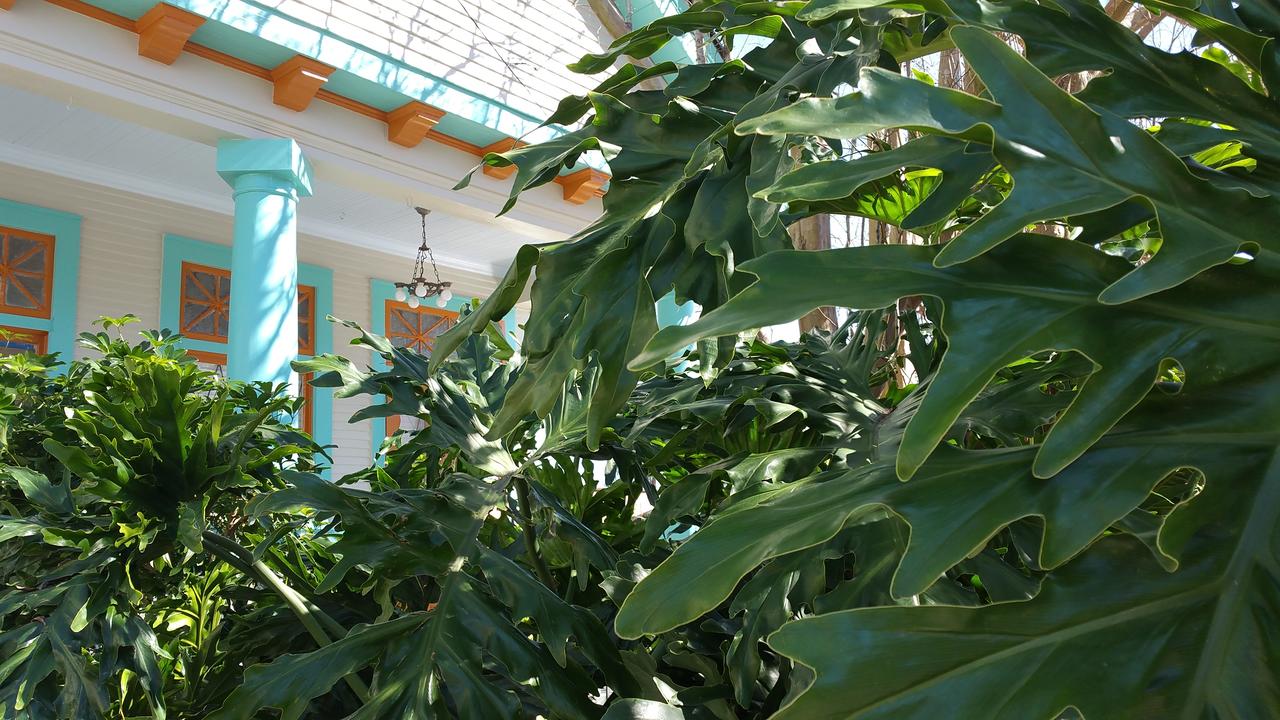 Laid Back Charm In The Bywater - thumb 12