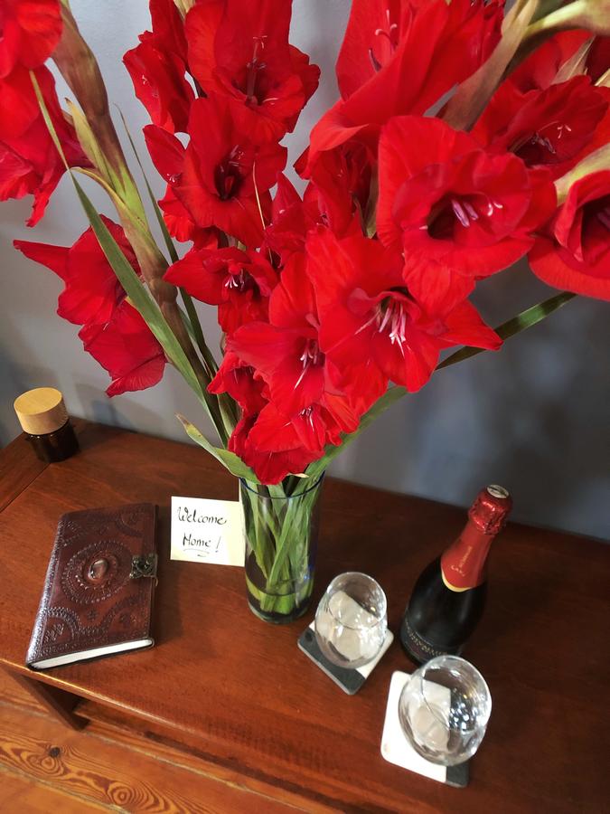 Luxury Historic Shotgun Home In Lower Garden District - thumb 9