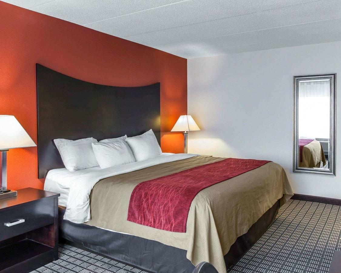 Comfort Inn & Suites BWI Airport - thumb 27