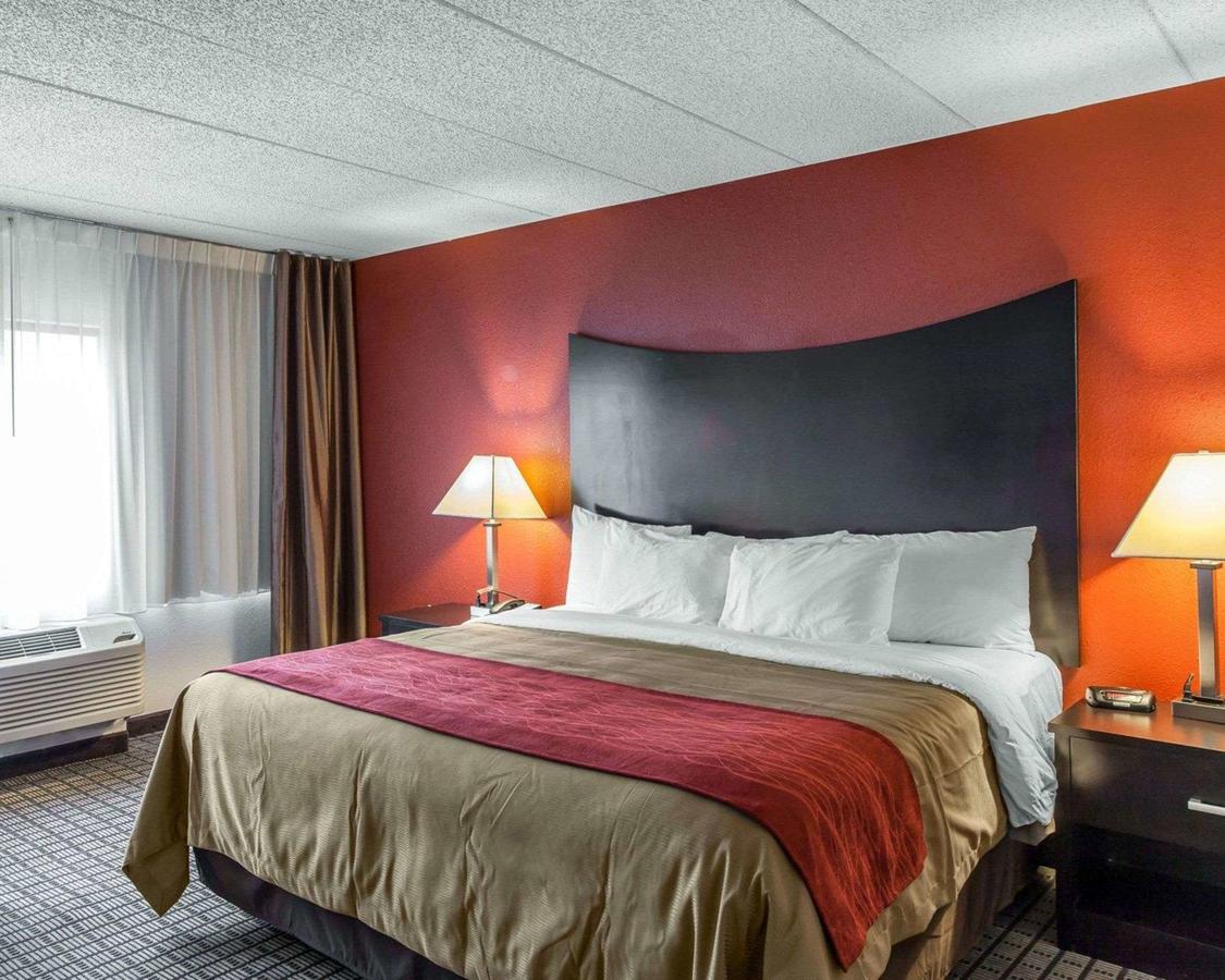 Comfort Inn & Suites BWI Airport - thumb 19