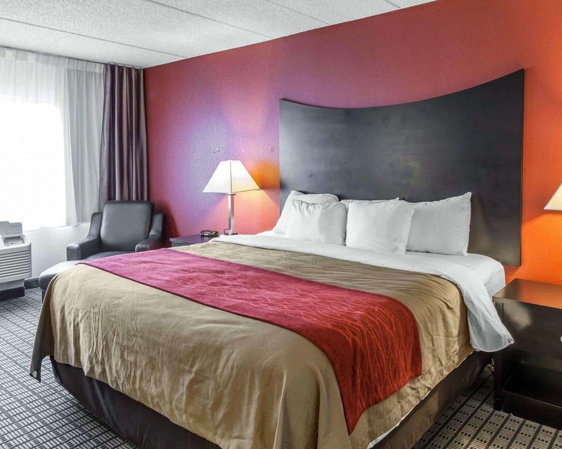 Comfort Inn & Suites BWI Airport - thumb 23