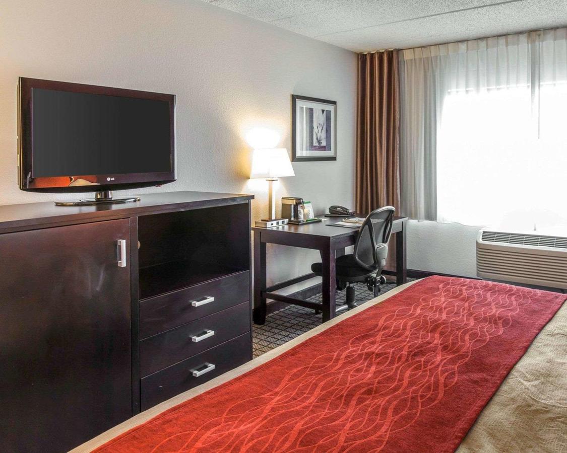 Comfort Inn & Suites BWI Airport - thumb 3