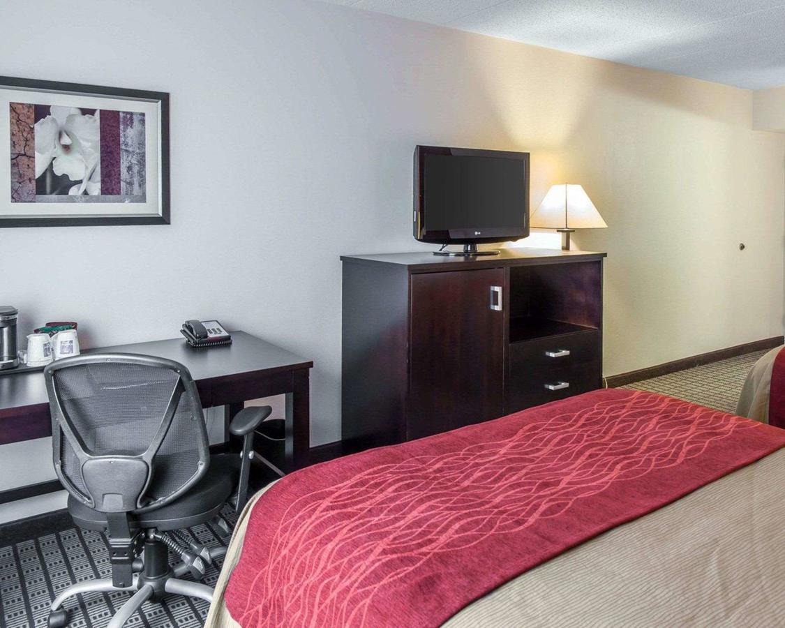 Comfort Inn & Suites BWI Airport - thumb 4