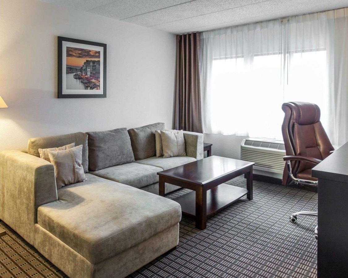Comfort Inn & Suites BWI Airport - thumb 2