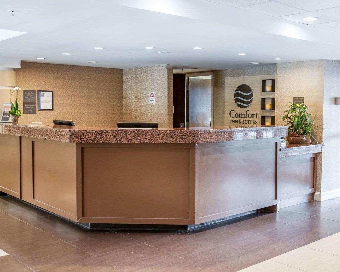 Comfort Inn & Suites BWI Airport - thumb 26